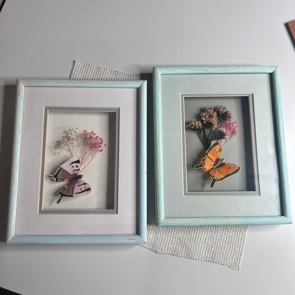 Vintage 3D Feather Butterfly Dried Flower Shadowbox Set Light Blue Frames 2pc